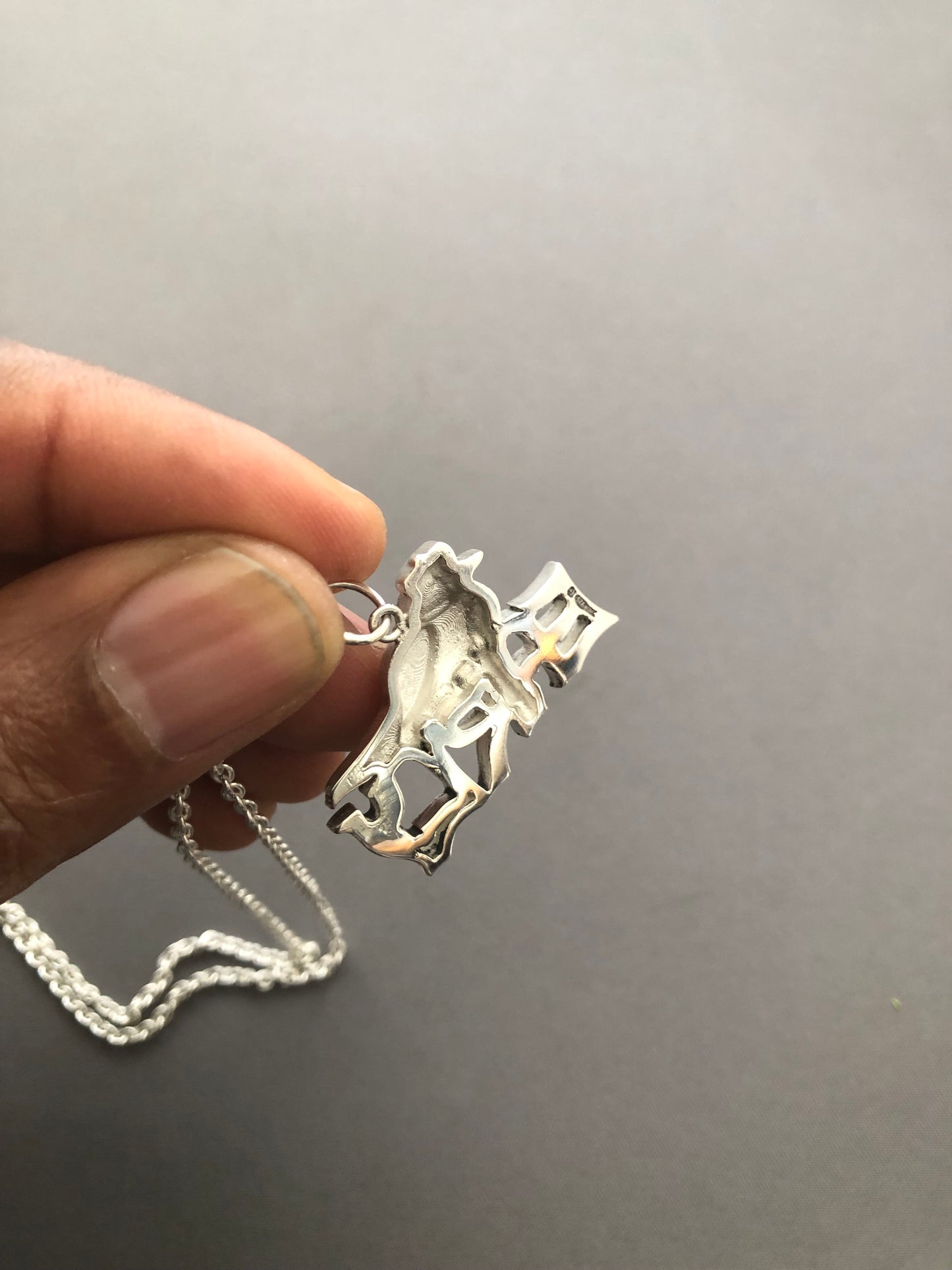 Ladies solid silver early bird pendant & chain